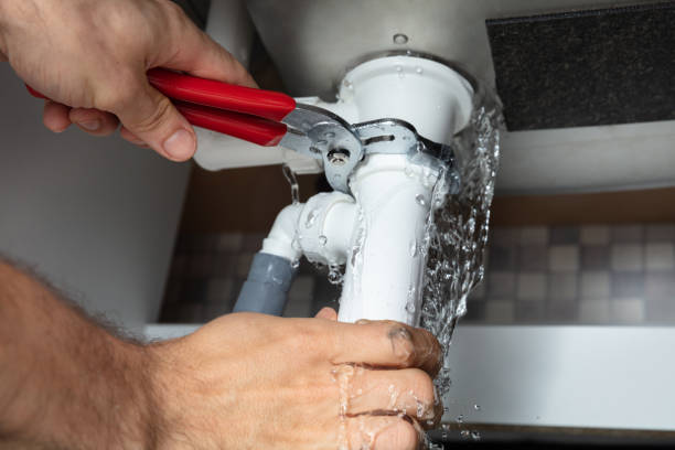 Best Flood damage cleanup  in West Carthage, NY