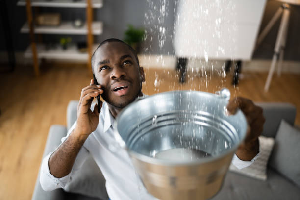 Best Local water damage restoration  in West Carthage, NY