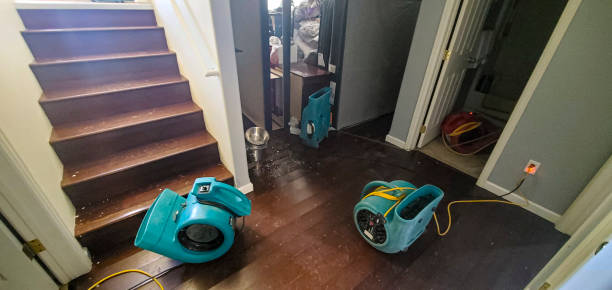 Best Emergency water extraction  in West Carthage, NY