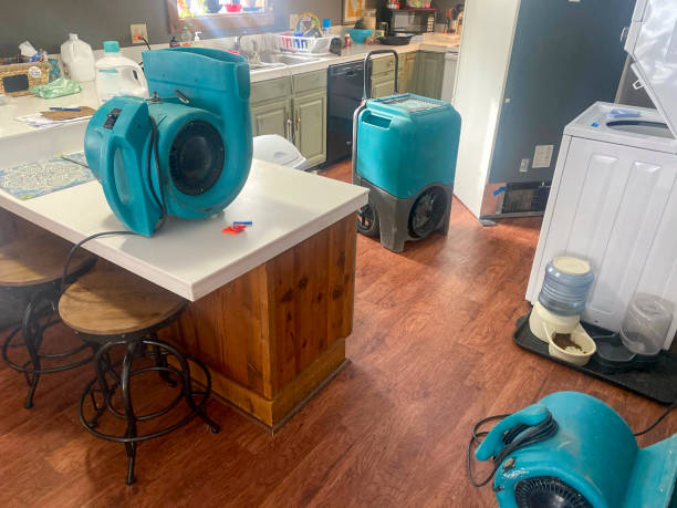 Best Water damage restoration insurance claims  in West Carthage, NY