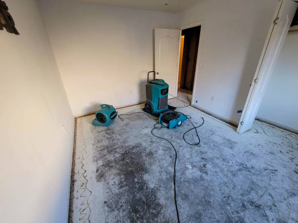 Best 24-hour water damage restoration  in West Carthage, NY
