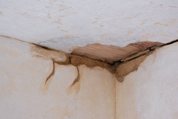 Water damage restoration mold remediation in NY