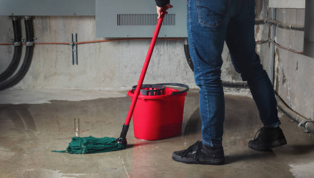 Best Mold removal after water damage  in West Carthage, NY
