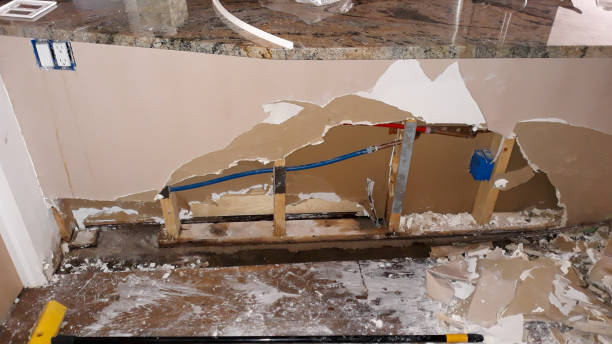 Best Carpet water damage restoration  in West Carthage, NY