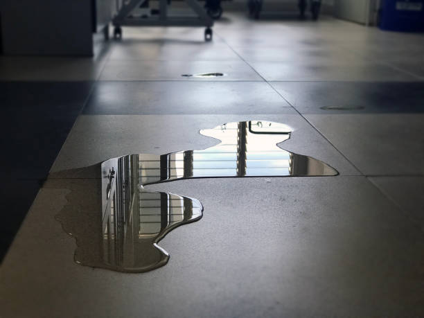 Best Water damage restoration near me  in West Carthage, NY