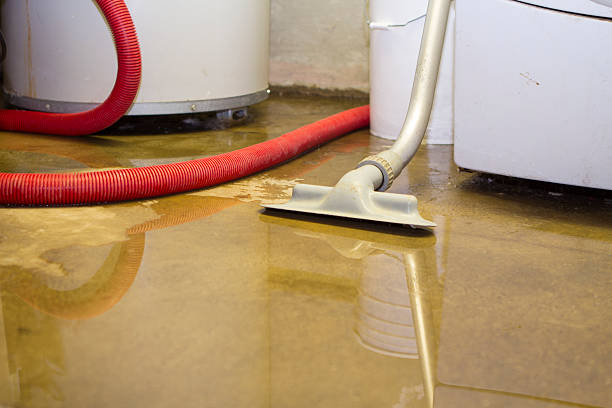 Best Water damage restoration near me  in West Carthage, NY