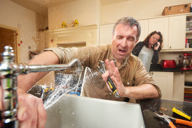 Best Water damage cleanup near me  in West Carthage, NY
